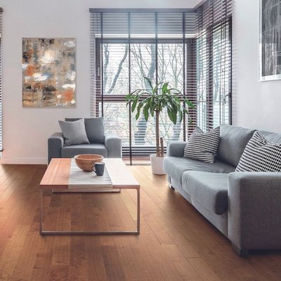 hardwood floors in a cozy living room